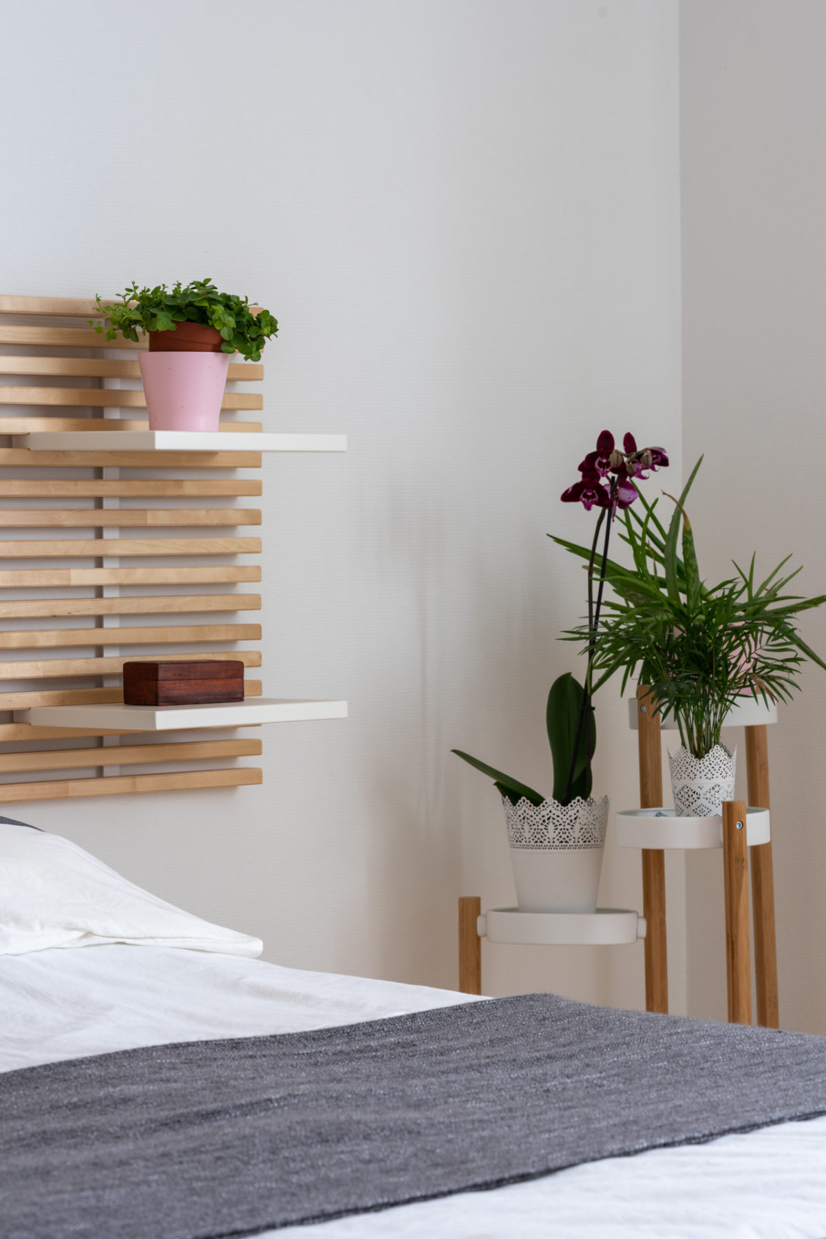 Photographe immobilier architecture Toulouse Haute-Garonne Pikimo