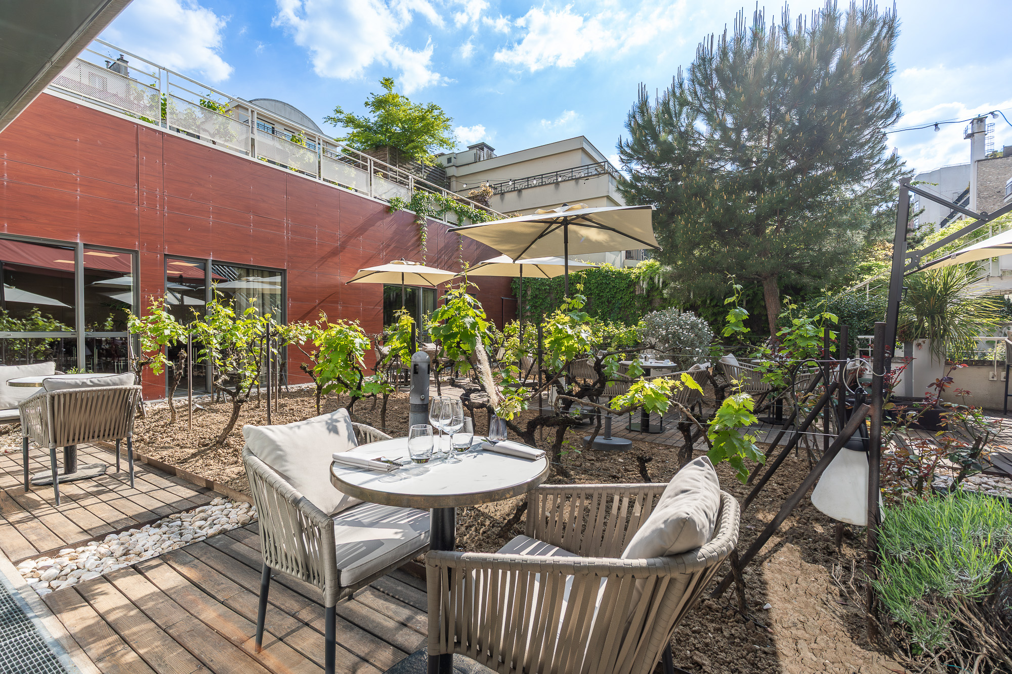 Terrasse jardin avec vigne et pergola — DoubleTree by Hilton Boulogne